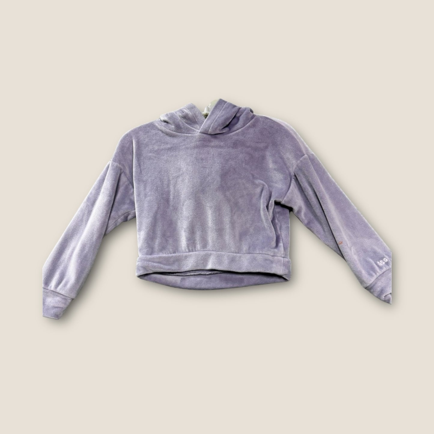 *FLAWED DSG Purple Fleece Hoodie, 2