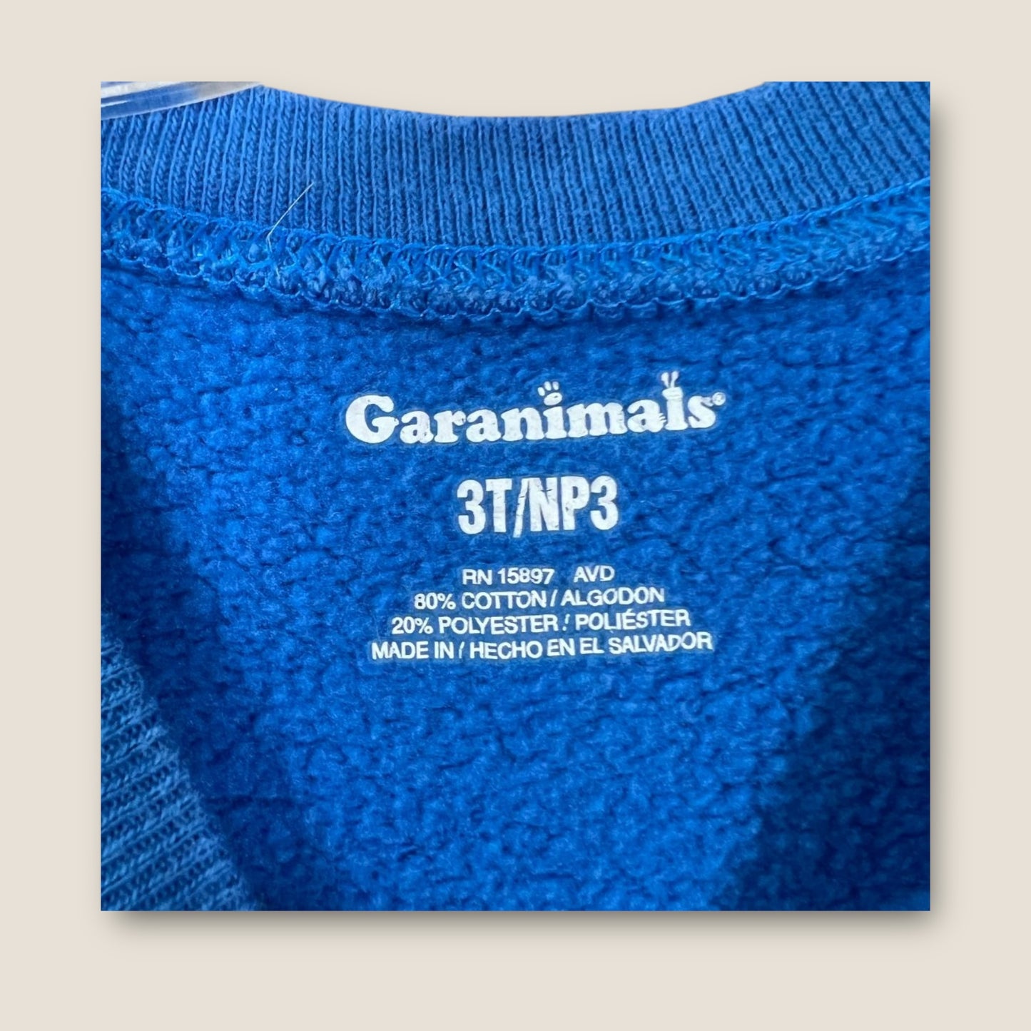 Garanimals Blue Crewneck Sweater, 3