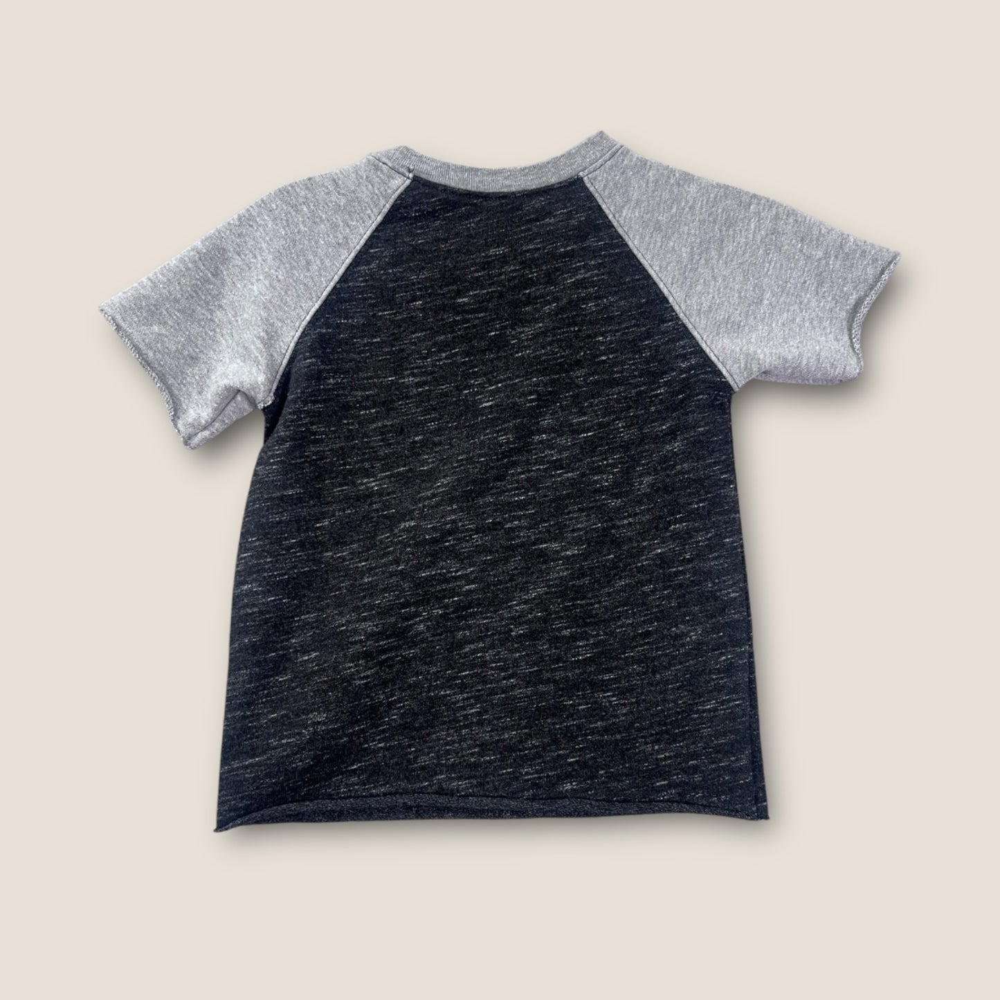 Garanimals Grey and Black Short Sleeve T-Shirt, 3