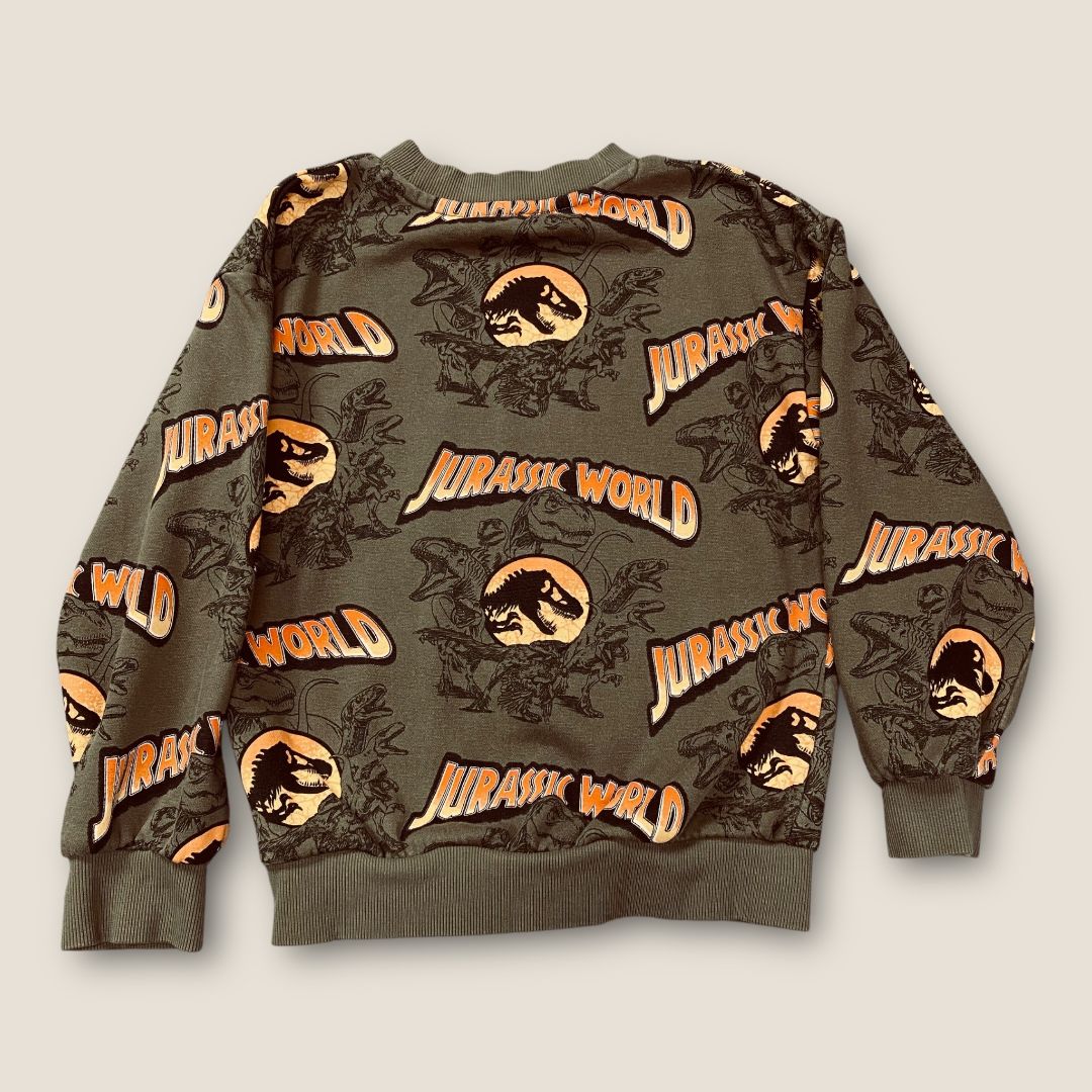 H&M green Dino sweat shirt, 6