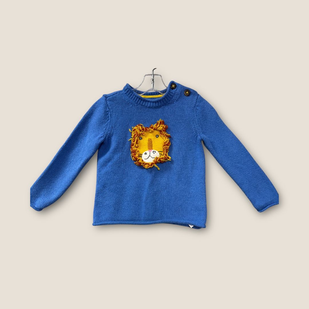 baby borden Blue Blue sweater with lion On front, 2