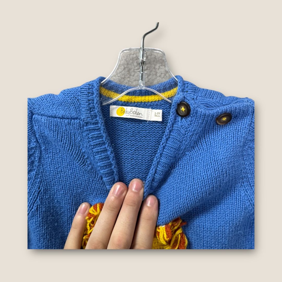 baby borden Blue Blue sweater with lion On front, 2