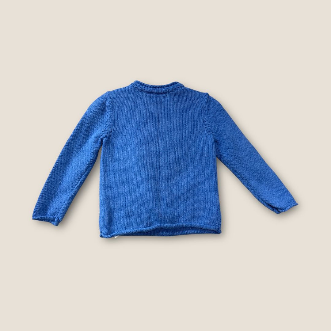 baby borden Blue Blue sweater with lion On front, 2