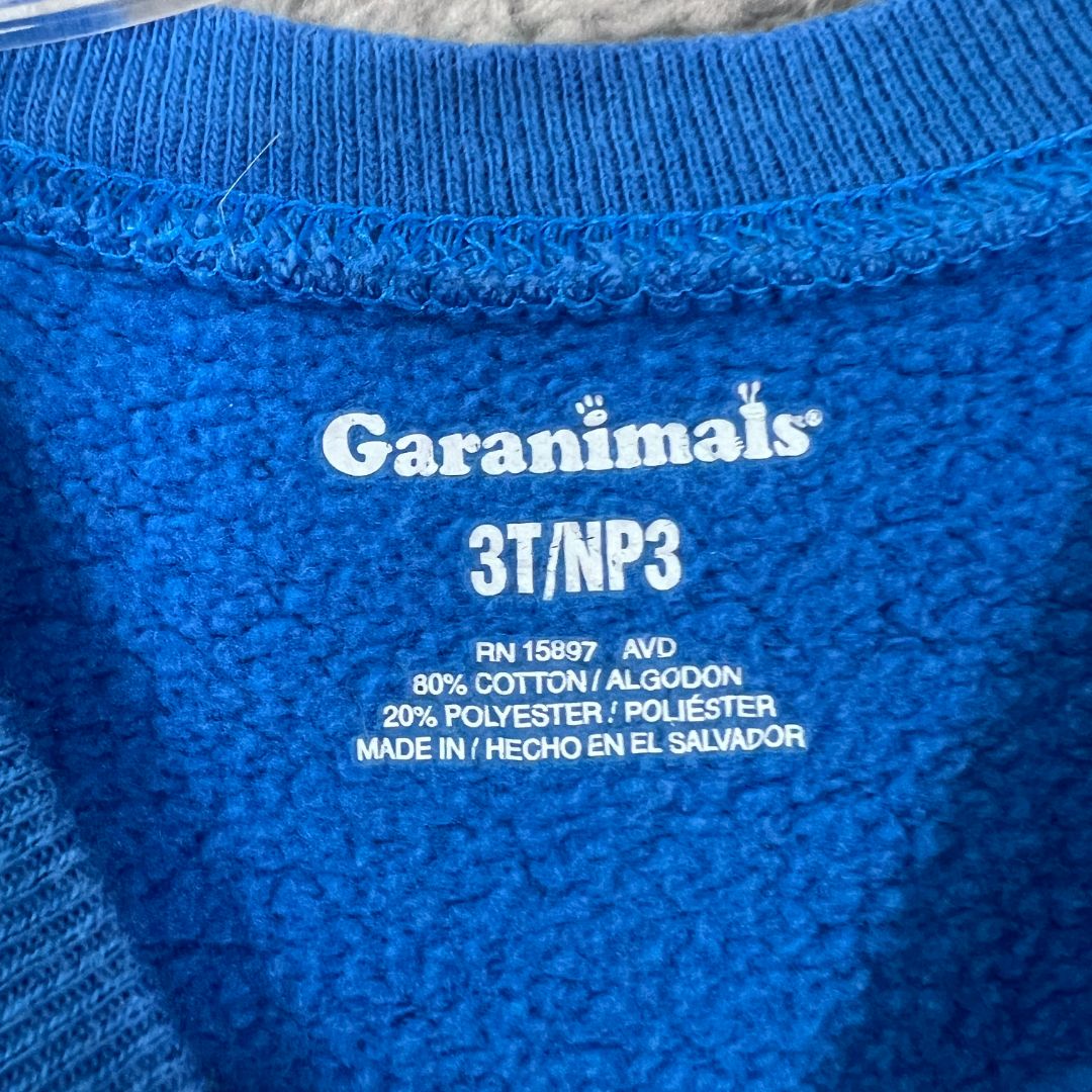 Garanimals Blue Crewneck Sweater, 3